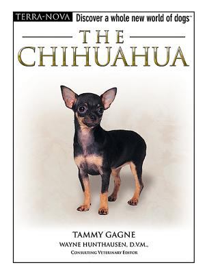 The Chihuahua /