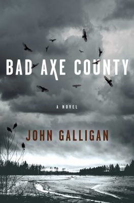 Bad Axe County : a novel /