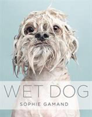 Wet dog /