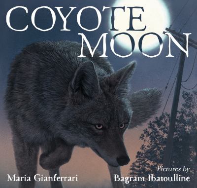 Coyote moon /