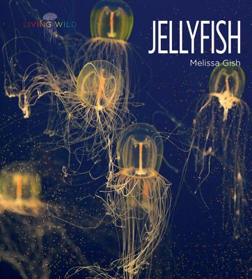 Jellyfish /