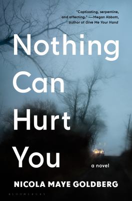 Nothing can hurt you : a novel /
