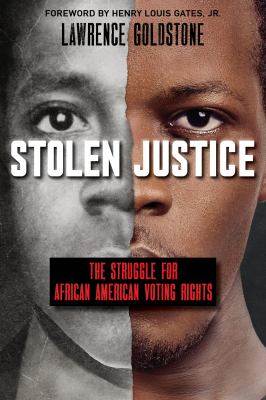Stolen justice : the struggle for African American voting rights /
