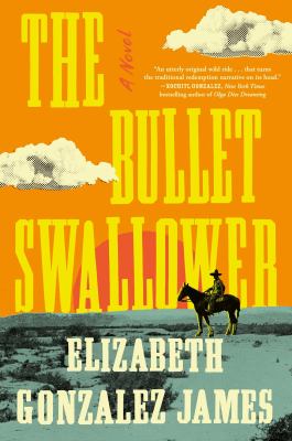 The bullet swallower : a novel /