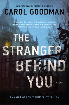 The stranger behind you : a novel /