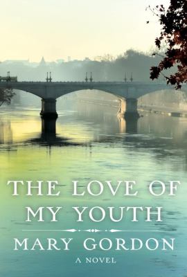 The love of my youth : a novel /