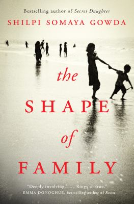The shape of family : a novel /