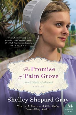 The promise of Palm Grove /