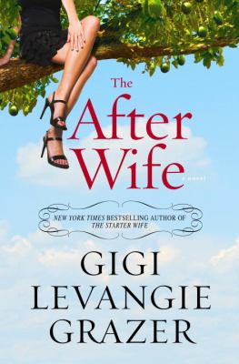 The after wife : a novel /