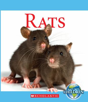 Rats /