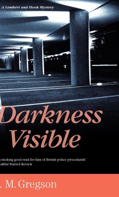 Darkness visible : a Lambert and Hook mystery /