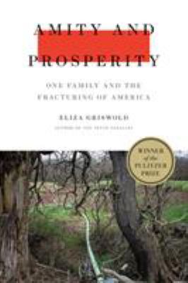 Amity and Prosperity : one family and the fracturing of America /