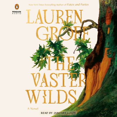 The vaster wilds [eaudiobook] : A novel.