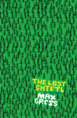 The lost shtetl : a novel /