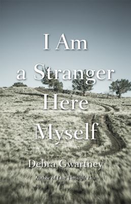 I am a stranger here myself /