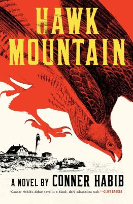 Hawk Mountain : a novel /