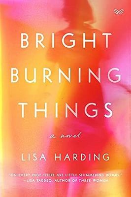 Bright burning things : [large type] a novel /