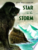 Star in the storm /