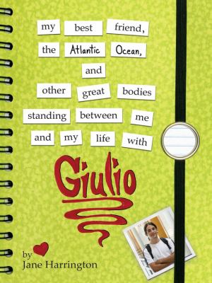 My best friend, the Atlantic Ocean, and other great bodies standing between me and my life with Giulio /