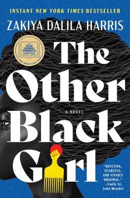 The other Black girl : a novel /