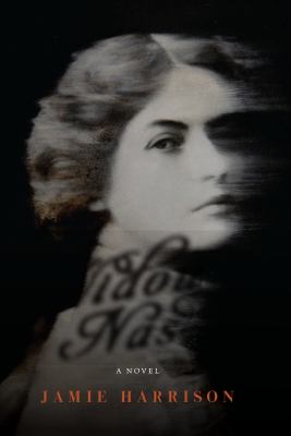 The widow Nash : a novel /