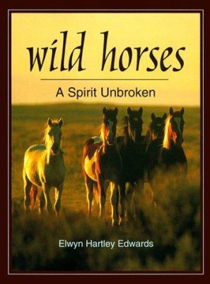 Wild horses : a spirit unbroken /