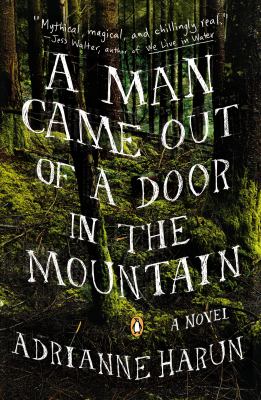 A man came out of a door in the mountain : a novel /