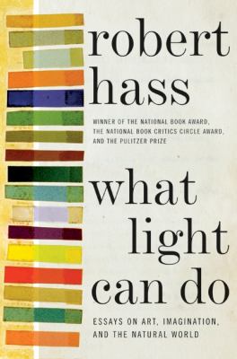 What light can do : essays on art, imagination, and the natural world /