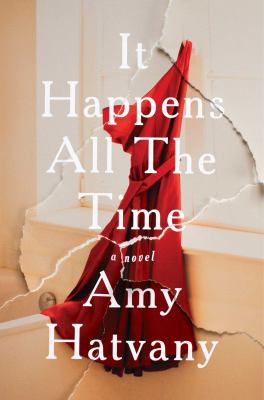 It happens all the time : a novel /