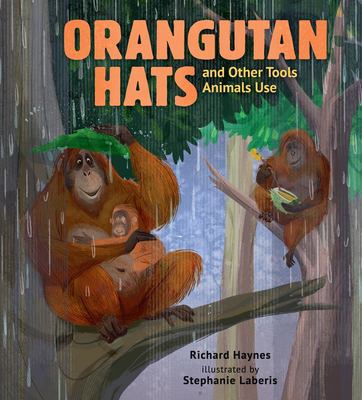 Orangutan hats and other tools animals use /