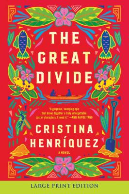 The great divide : a novel [large type] /