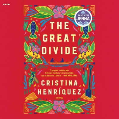 The great divide [eaudiobook] : A novel.