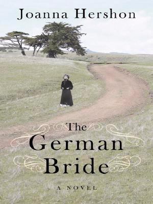 The German bride : [large type] : a novel /