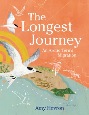 The longest journey : an Arctic tern's migration /