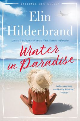 Winter in paradise : a novel /