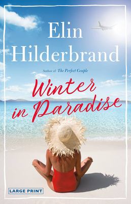 Winter in paradise [large type] : a novel /