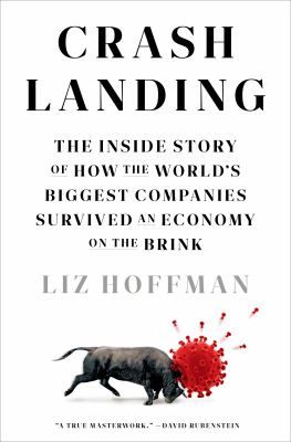 Crash landing : the inside story of how the world's biggest companies survived an economy on the brink /