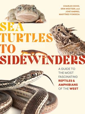 Sea turtles to sidewinders : a guide to the most fascinating reptiles & amphibians of the west /