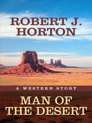 Man of the desert : a western story /