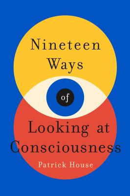 Nineteen ways of looking at consciousness /