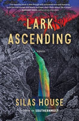 Lark ascending : a novel /