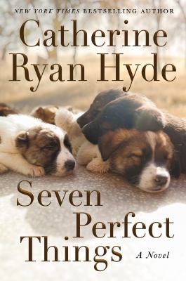 Seven perfect things : a novel /