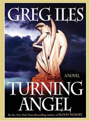Turning angel [large type] /
