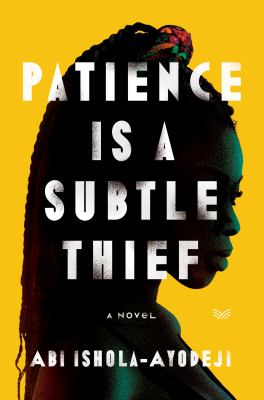 Patience is a subtle thief : a novel /