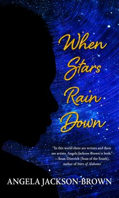 When stars rain down : [large type] a novel /