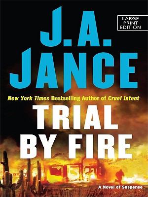Trial by fire [large type] /