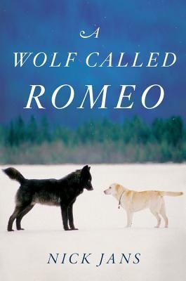 A wolf called Romeo /
