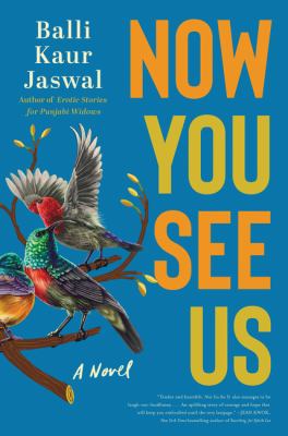 Now you see us : a novel /