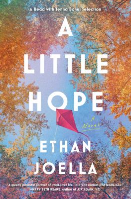 A little hope : a novel /