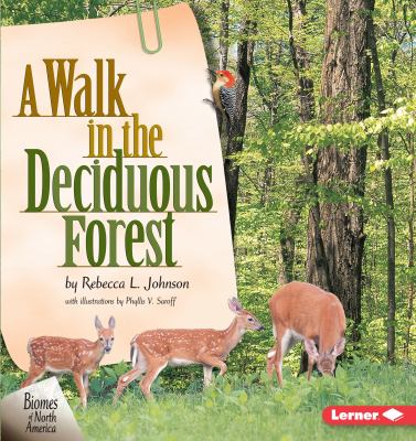 A walk in the deciduous forest /